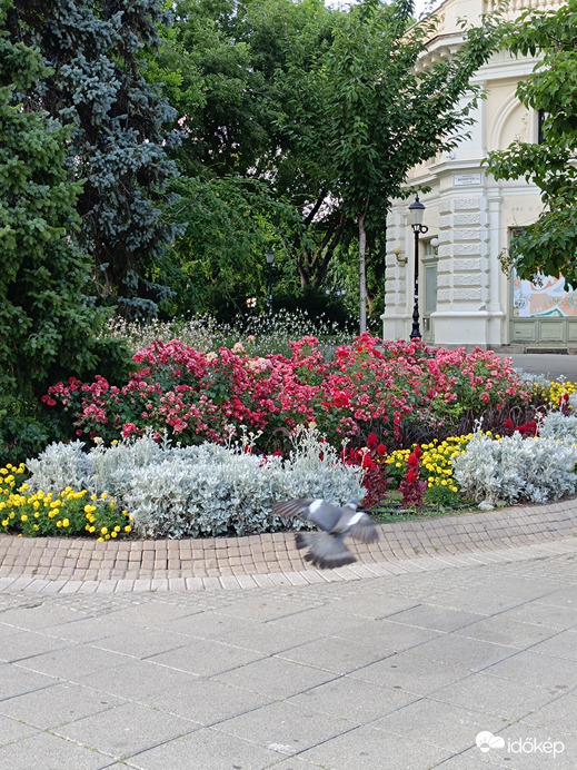 Kecskemét belvárosa minden évszakban gyönyörű 