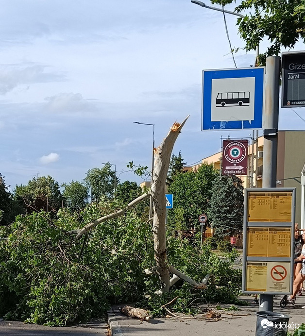 Ez egy hétfői-vihar utáni fotó...
