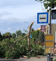Ez egy hétfői-vihar utáni fotó...