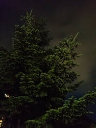 Munkából hazafelé-mostmár sötétben...