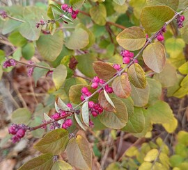 Szép színek ősz végén