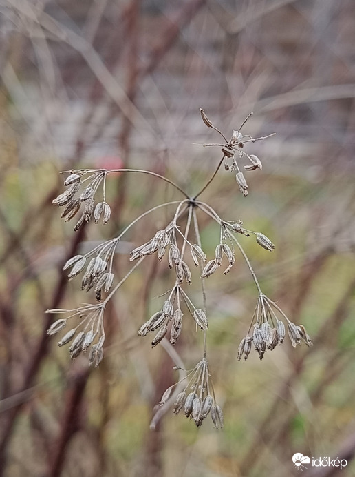 Most ilyen a kert...