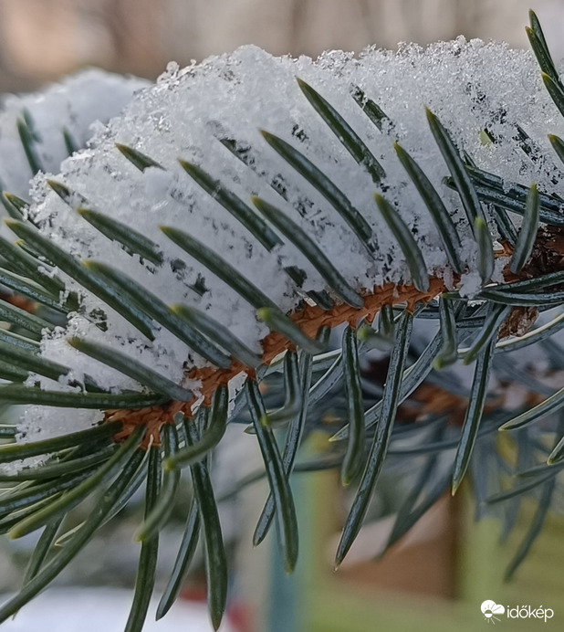 Ma reggelre is esett hó,de már megint olvad...