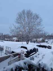 Nemsokára felkel a Nap,..