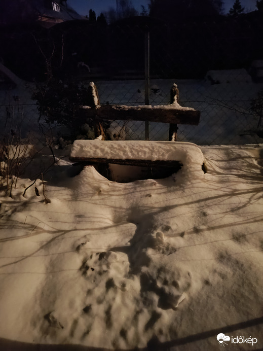 Csendélet a kertben