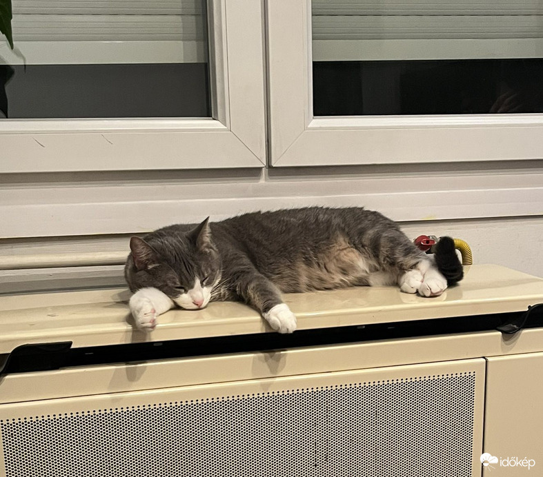 Hideg és sötét a november...