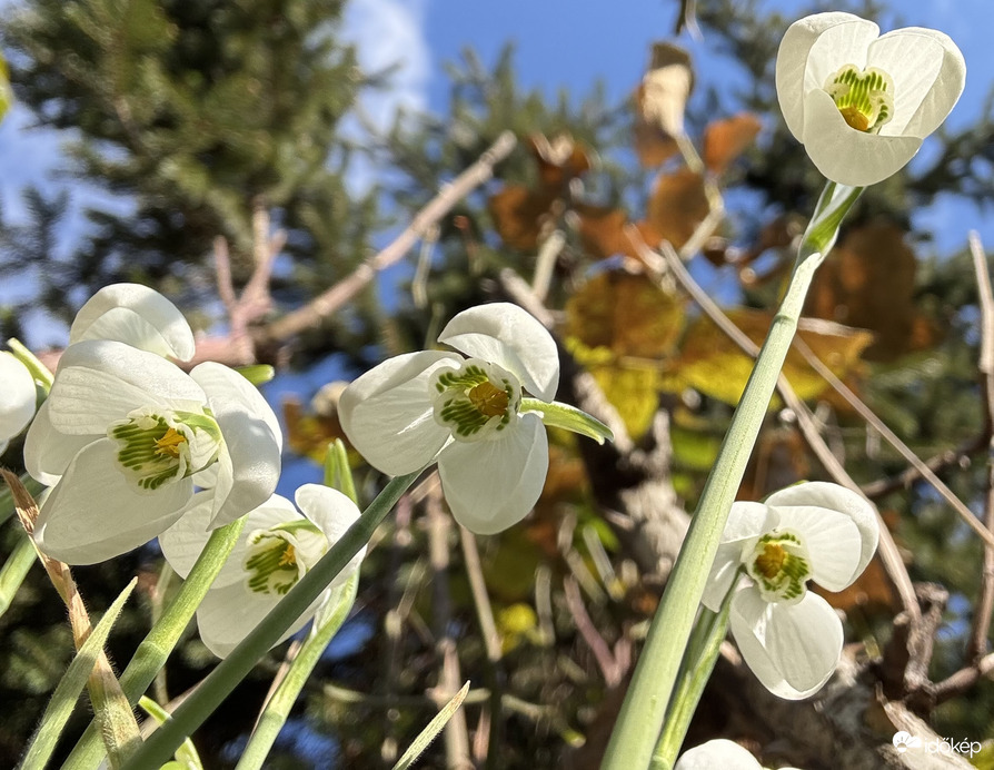 … január, február, itt a nyár