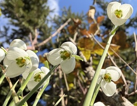 … január, február, itt a nyár