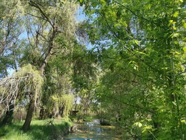 Kálló