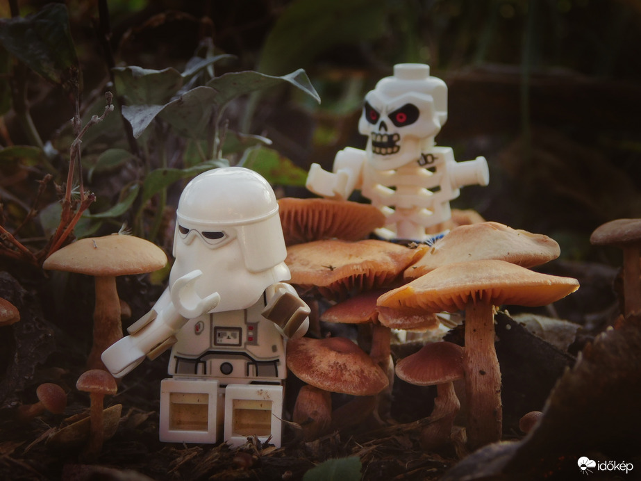 Mai nap zombik is jönnek, nemcsak boszorkányok :D