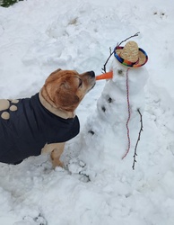 Hohooo... neked répa orrod van