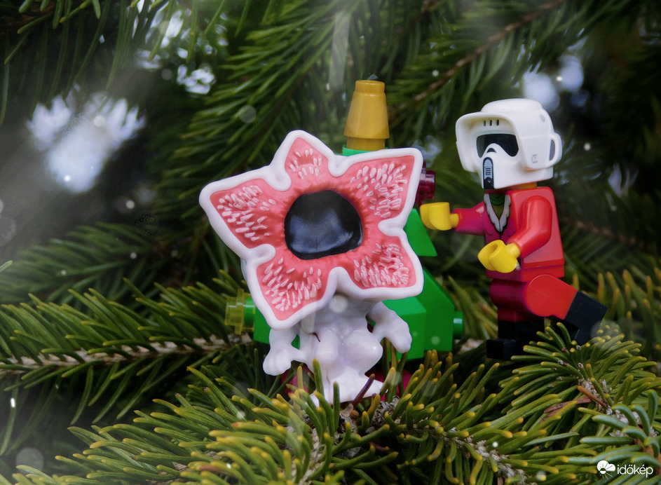 Karácsony mindenhol 