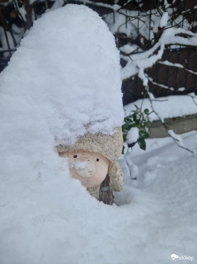 Hahó...egy kis manó! 