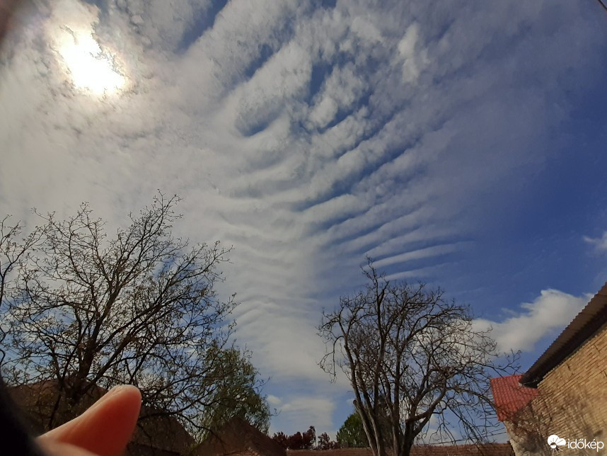 Észlelési fényképek