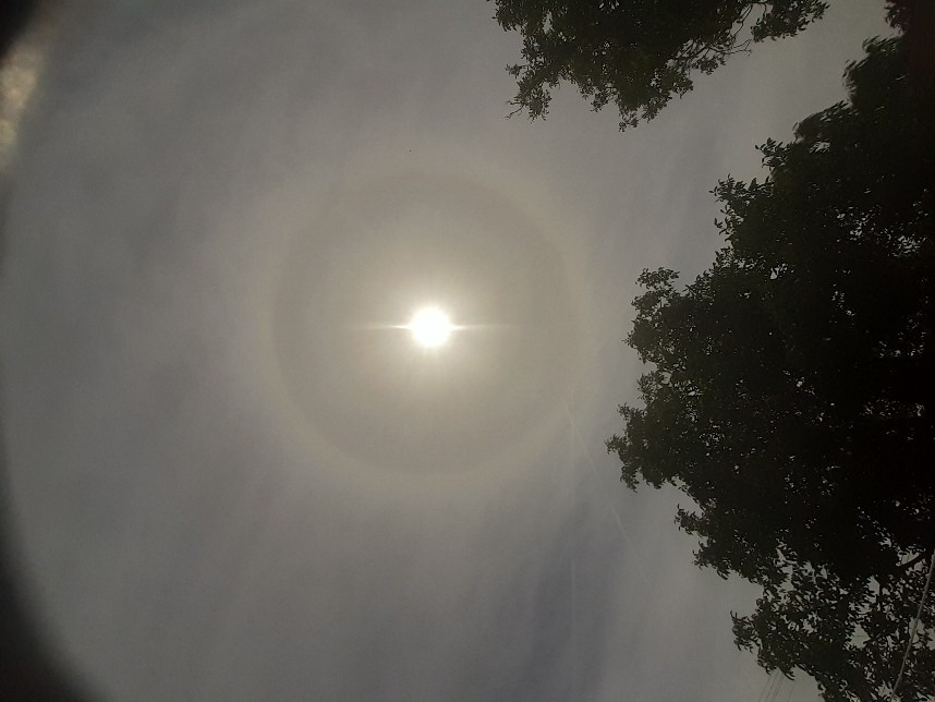 Észlelési fényképek