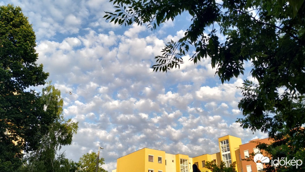 Észlelési fényképek