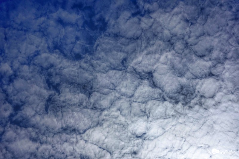   Altocumulus lacunosus.