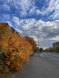 Miskolc