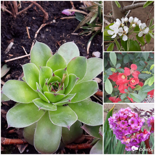 A tavasz sokszínűsége