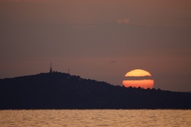 vikuci fotója