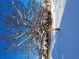 Tél_Cegléden_2026_01_08