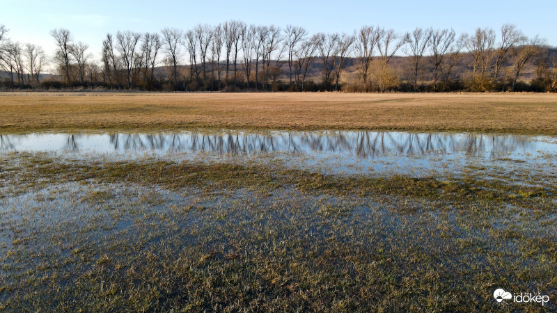 Ipoly ártér nedves rét