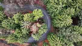 Az ország legmagasabban lévő hajtűkanyarja