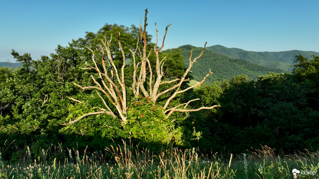 Börzsöny (Jancsi-vár)