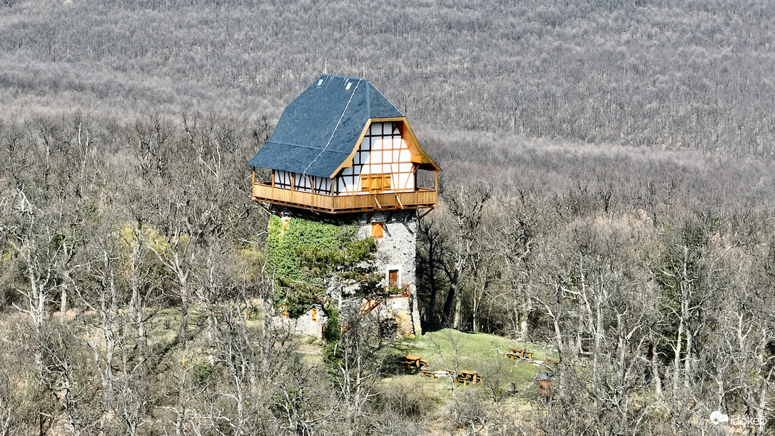 Sasbérc