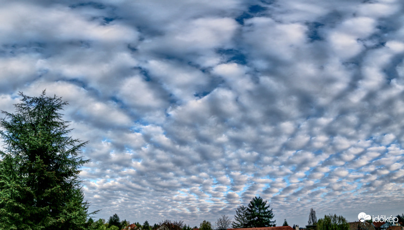 Sashalom felett most