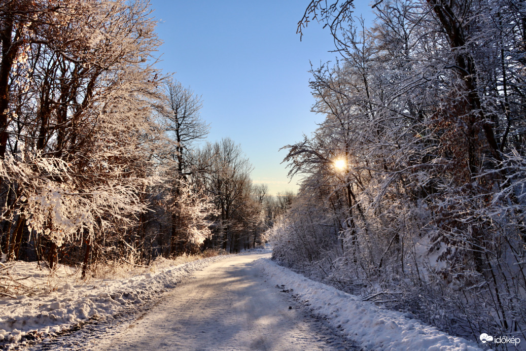 Két-bükkfa-nyereg (Pilis)