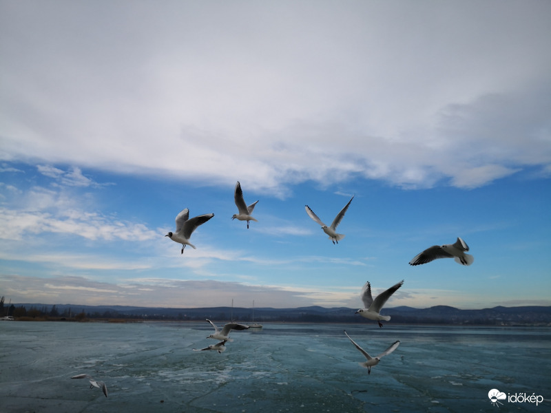 Februári reggel Tihanyban