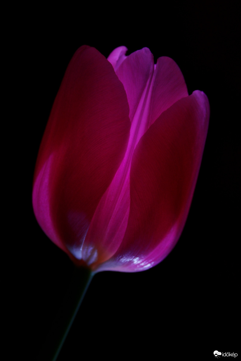 A tavasz után vágyakozva