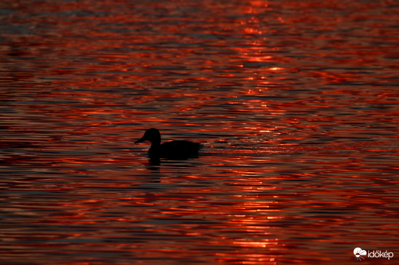 Napkelte tükröződések a Naplás-tavon