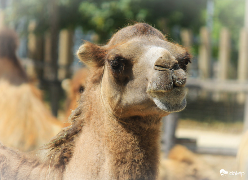 És Ti felkészültetek a hőségre? :-)