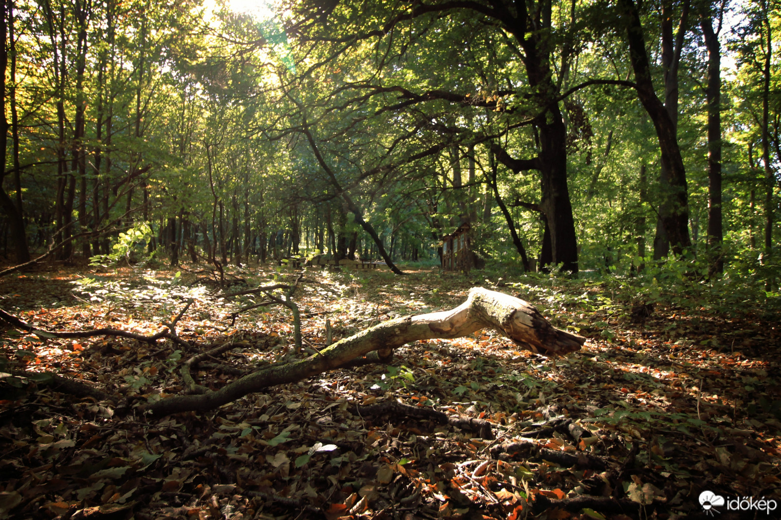 Pihenésre készülődve
