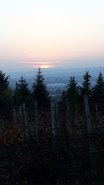 Sopron
