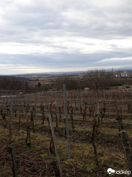 Sopron