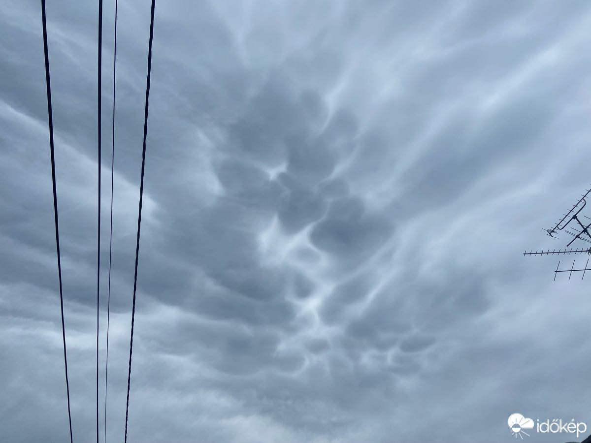 Észlelési fényképek