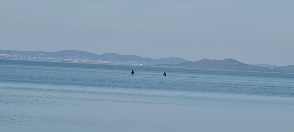 Balatonszárszó