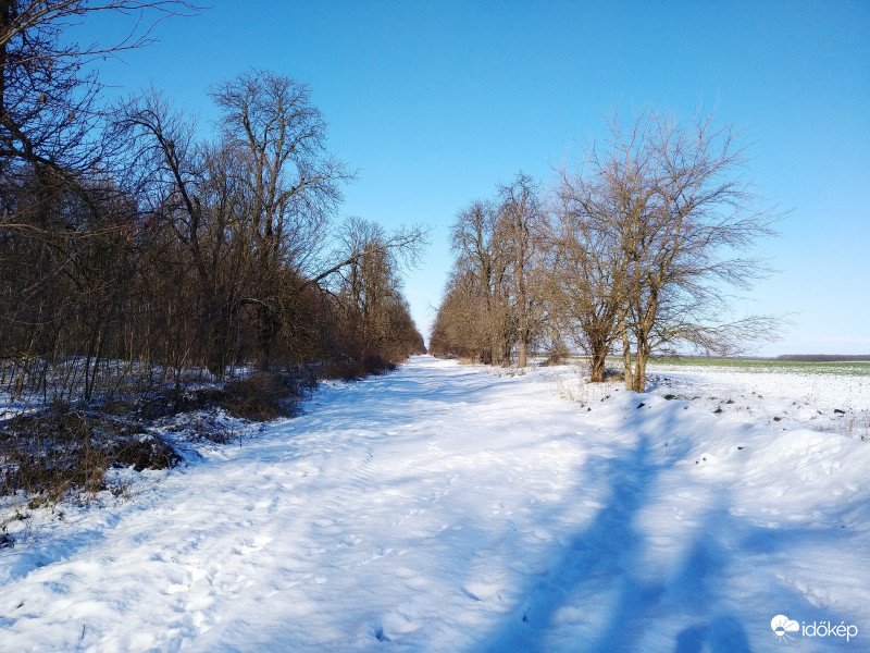 Első hó 2019