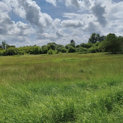 vizesmacska fotója