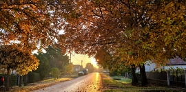 Őszi reggel November 1