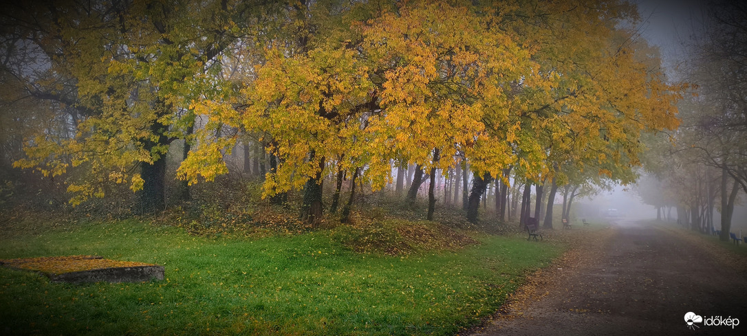Őszi reggel.