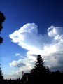 Cumulonimbus