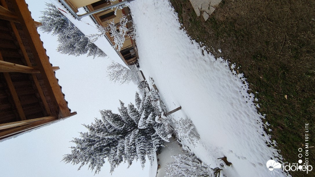 Észlelési fényképek