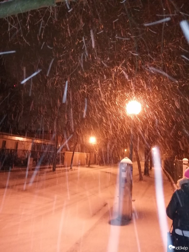 Észlelési fényképek