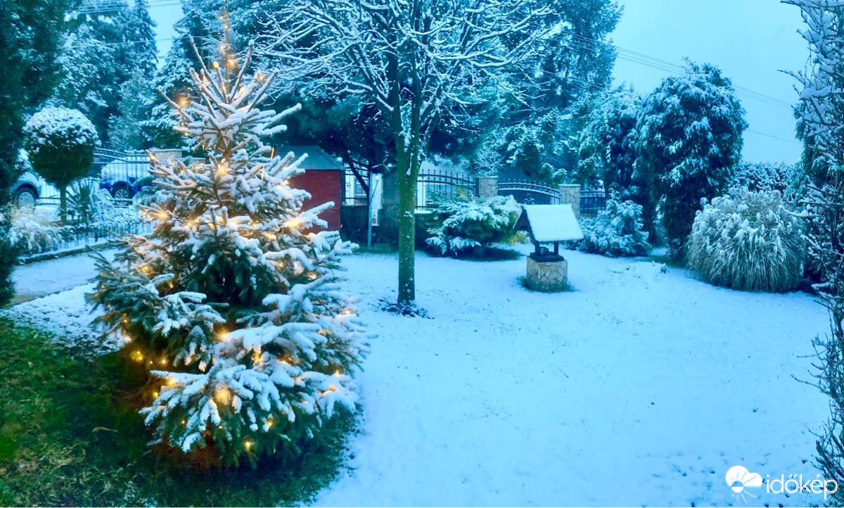 Észlelési fényképek