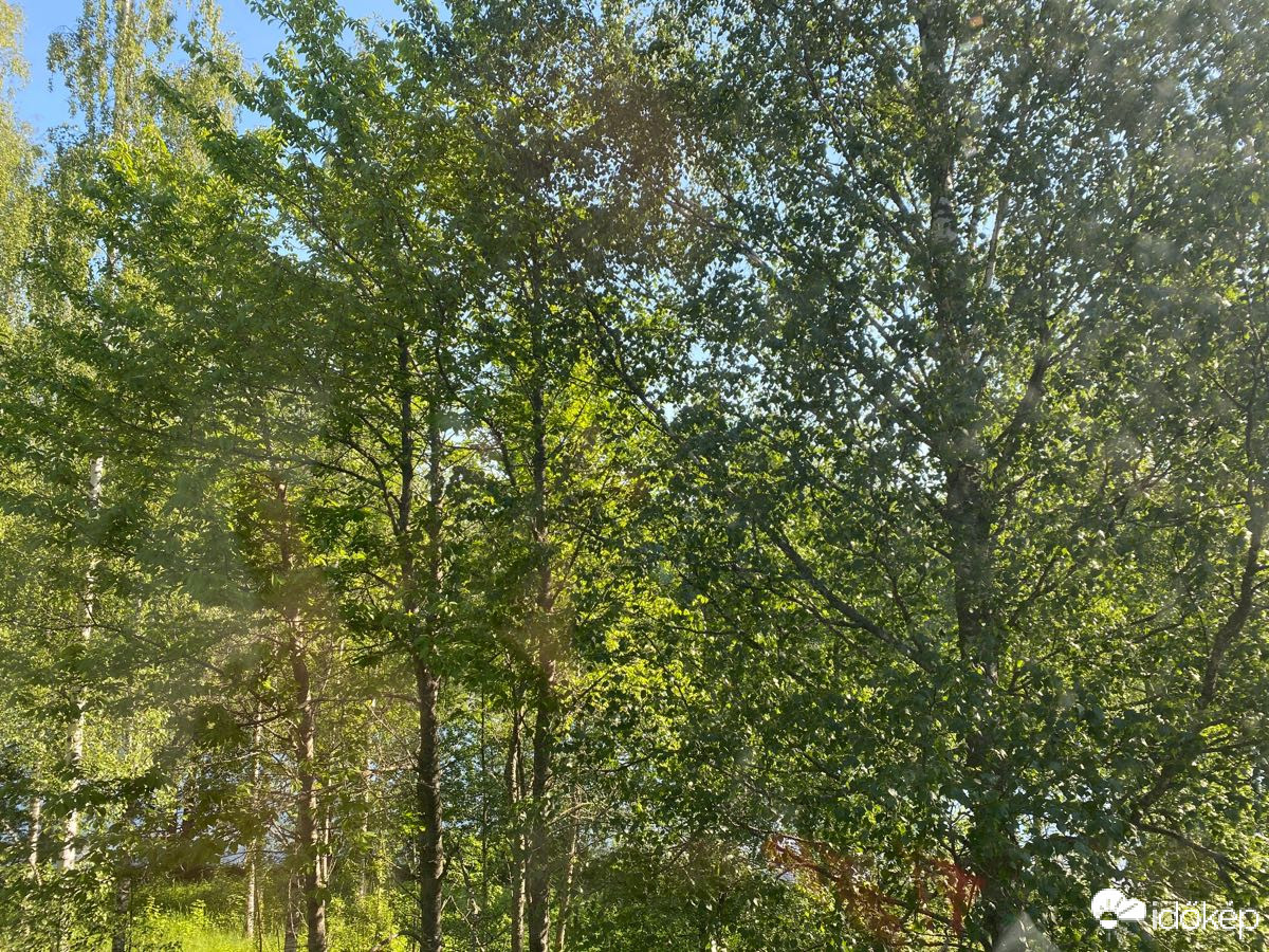 Észlelési fényképek