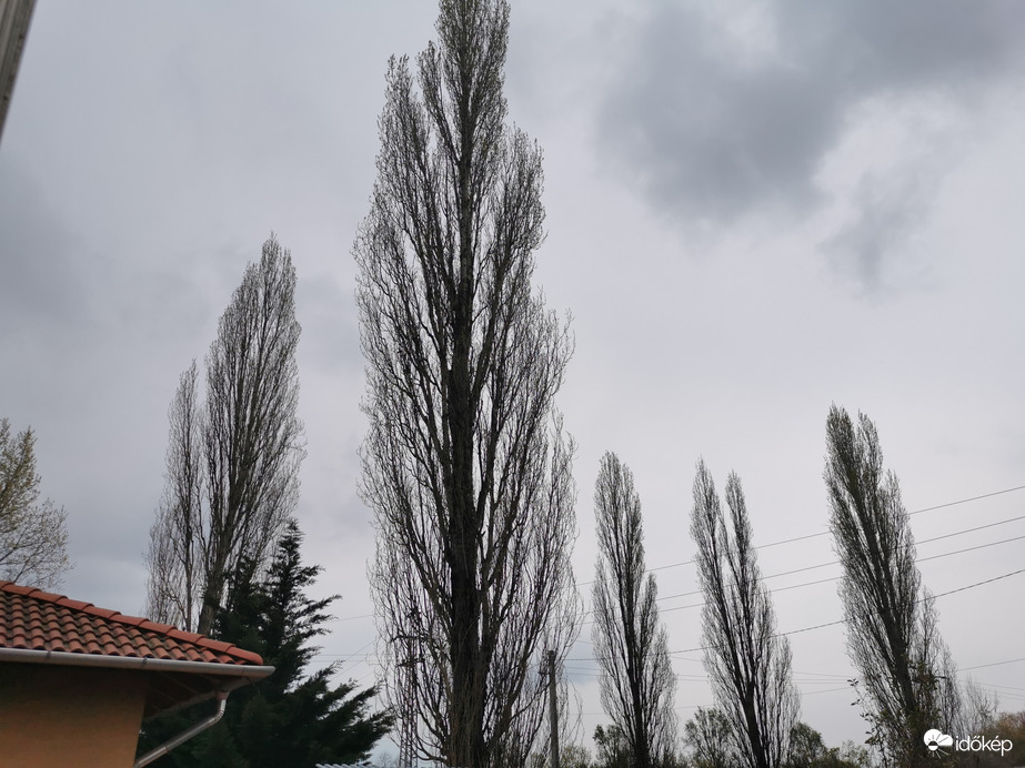 Észlelési fényképek